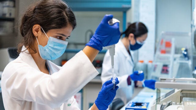 medical researchers working in lab