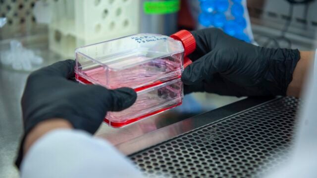 holding science things